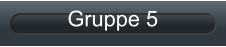Gruppe 5