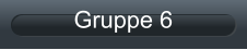 Gruppe 6