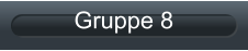 Gruppe 8