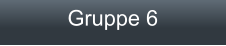 Gruppe 6