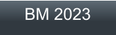 BM 2023